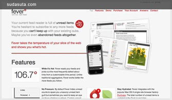 30个可爱的网页设计与排版设计欣赏 技术与美学的完美融合