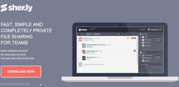 2013年11月 为网站设计与开发人员精选的实用工具