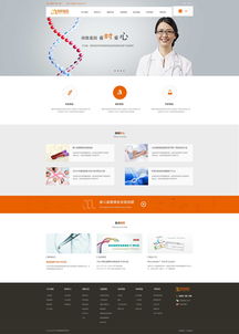 网博思创 网思中国高端网站定制案例解析，引领北京网站设计与开发新趋势